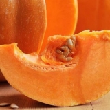 Kako hraniti bundevu na otvorenom polju